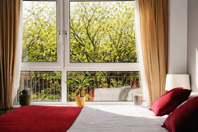The main bedroom, looking out through the trees to the water